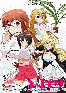 鹡鸰女神